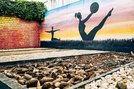 Außenbereich der Praxis mit Gehstrecke